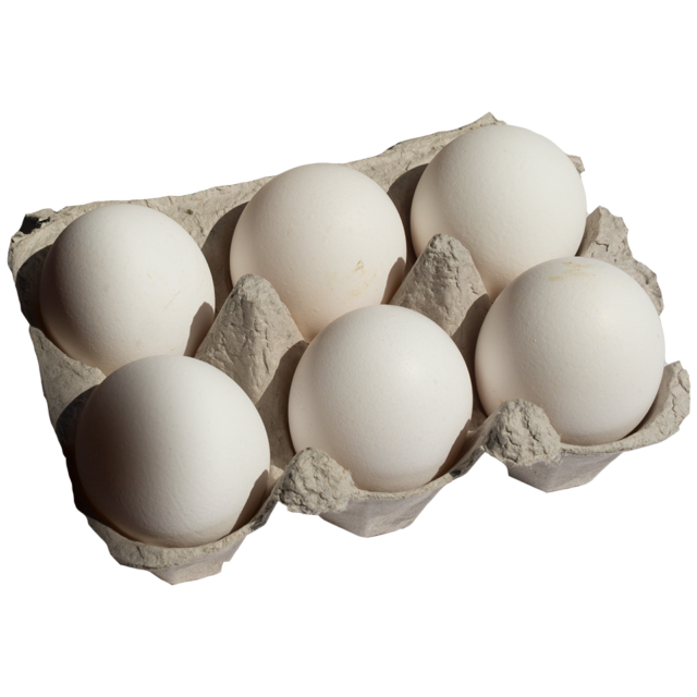 Uova fresche di Livornese - Conf. da 6 pz - Il pollo ruspante